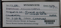 Image Associated With the Occurence